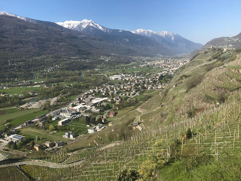 Valtellina is a beautiful region at the foothills of the Alps at the Swiss and Italian border