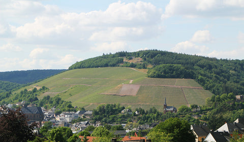 Zilliken Rausch Grand Cru vineyard