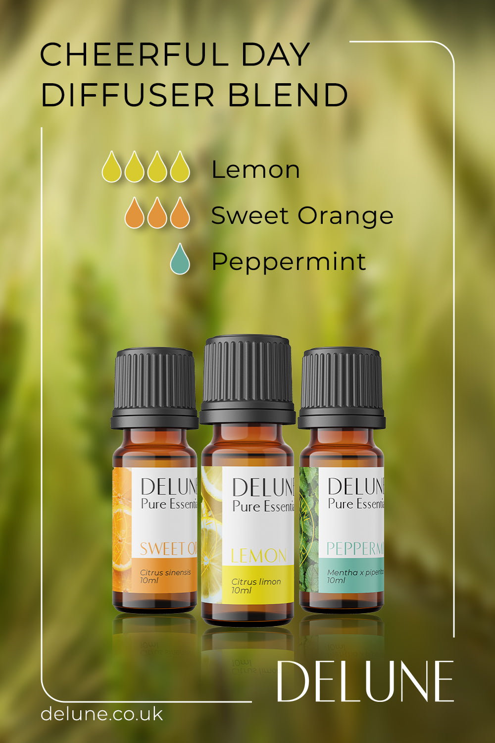 Delune Cheerful Day Diffuser Blend