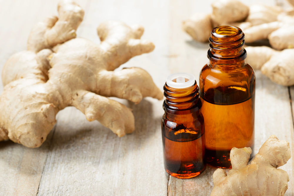 Ginger Root is used to make Ginger Essential Oil