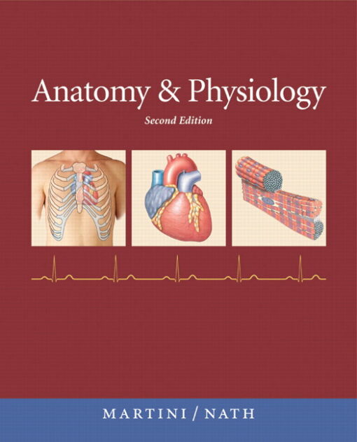 Test Bank Anatomy and Physiology 2nd Edition by Martini for Success