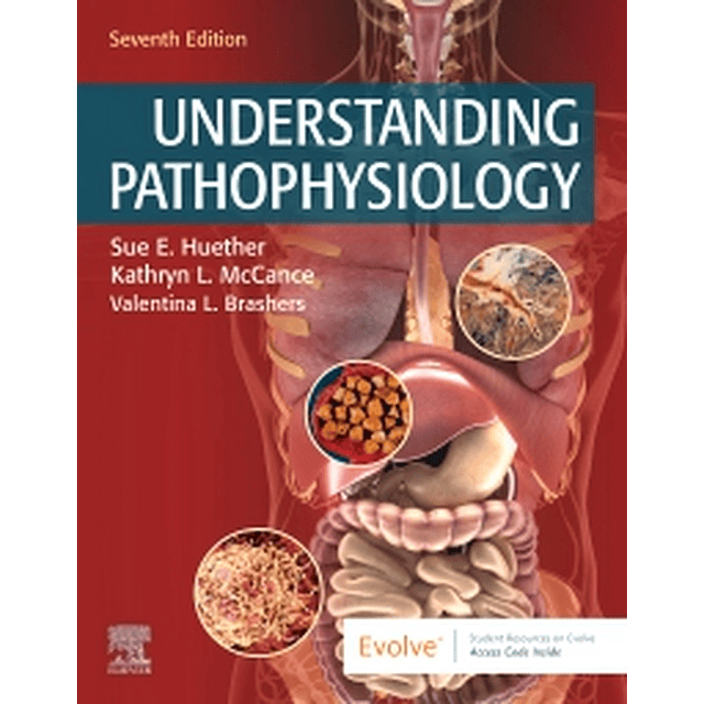 Test Bank Understanding Pathophysiology 7th Edition by Sue E Huether A+ for Success