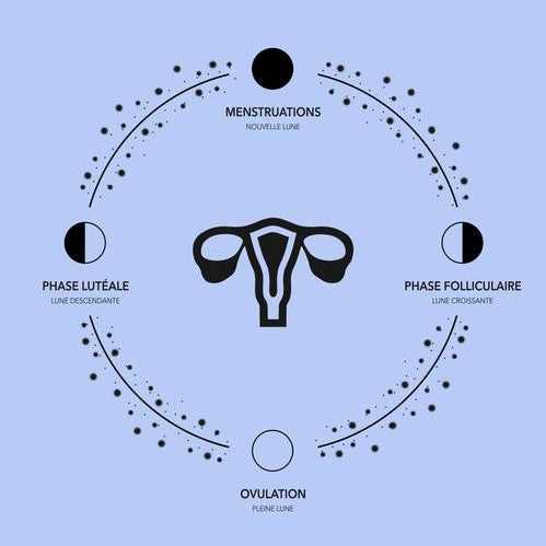 The Moon And The Menstrual Cycle We Tell You Everything