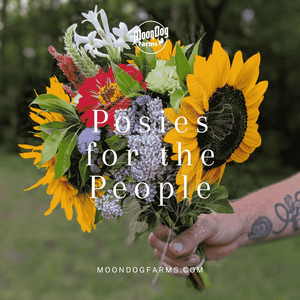 Posies for the People
