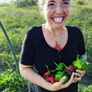 Mixed Bell Peppers