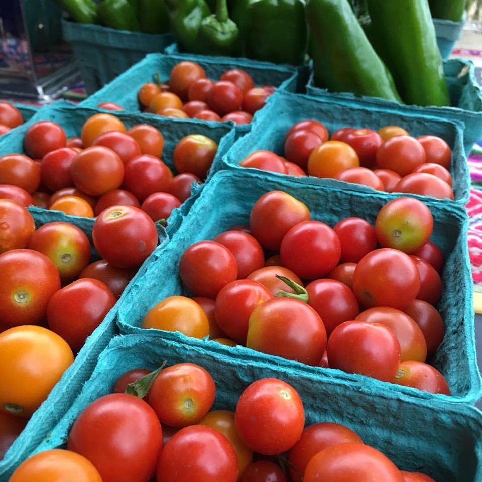 Mixed Cherry Tomatoes