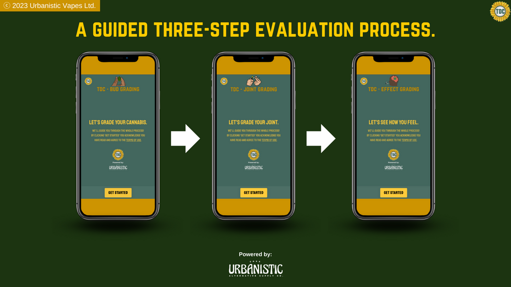 The three-step evaluation process of the TDC Grading System