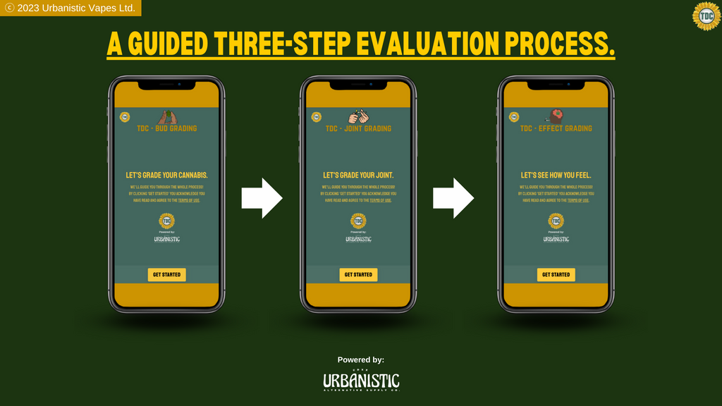 The three-step-evaluation process of our grading system