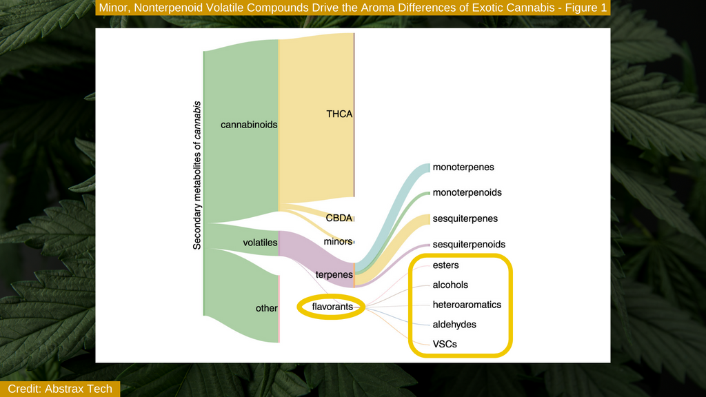 Abstrax Tech - Figure 1 - Secondary metabolites of cannabis