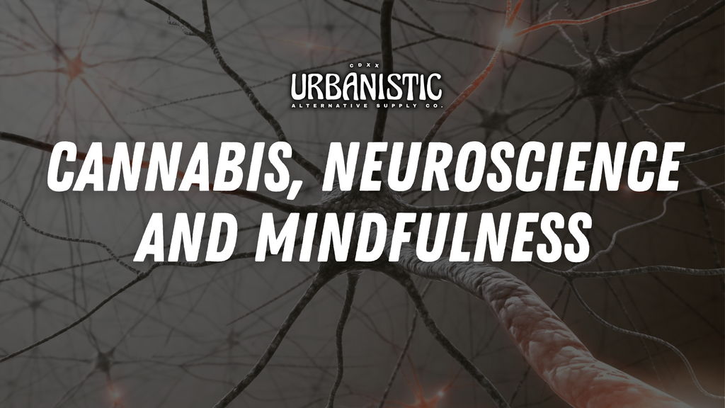 Cannabis, Neuroscience and Mindfulness
