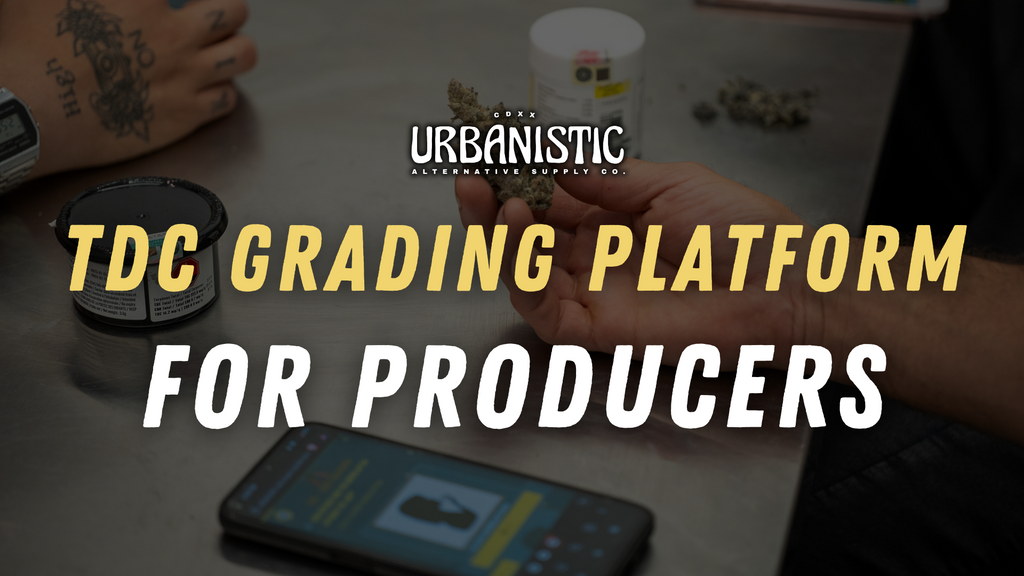 TDC Grading Platform for Producers