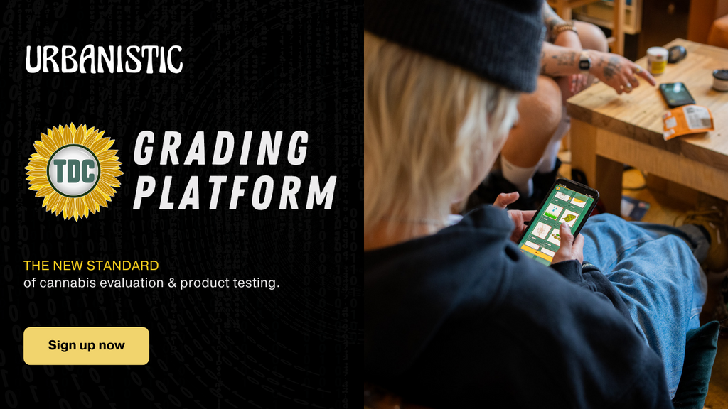 The TDC Grading Platform