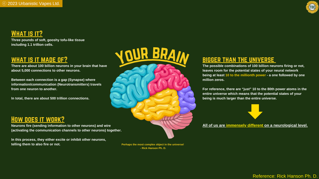 The Complexity of your Brain