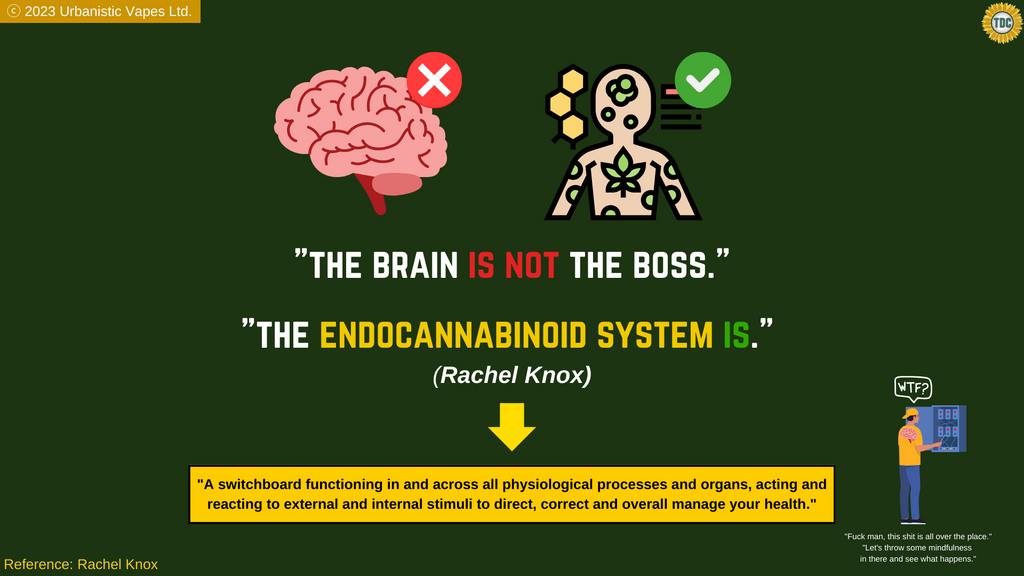 Rachel Knoxx - The Endocannabinoid System is the boss