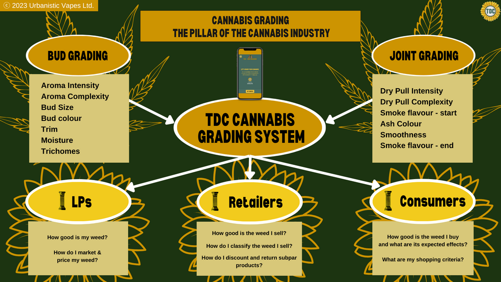 The TDC Grading System, the pillar of the cannabis industry