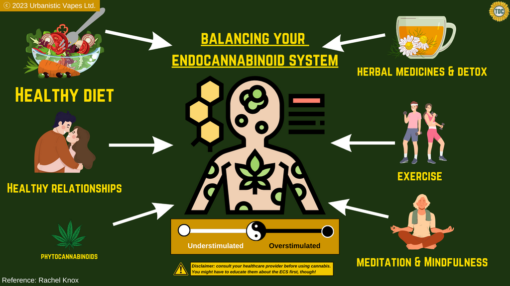 Endocannabinoid System - Diet, Relationships, Mindfulness