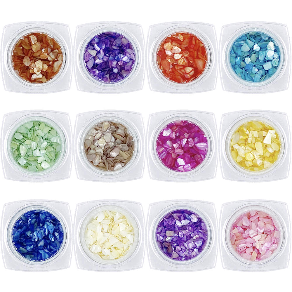  Colorful Seashell Gem Set / 12 Jars 