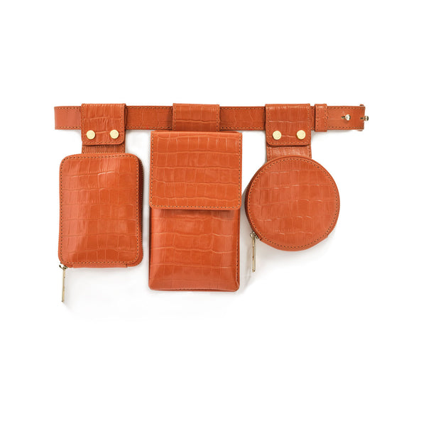 Fendi Ff Logo Utility Belt Bag in Brown