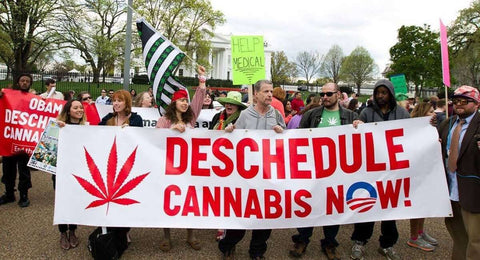 consumers want to legalize cannabis