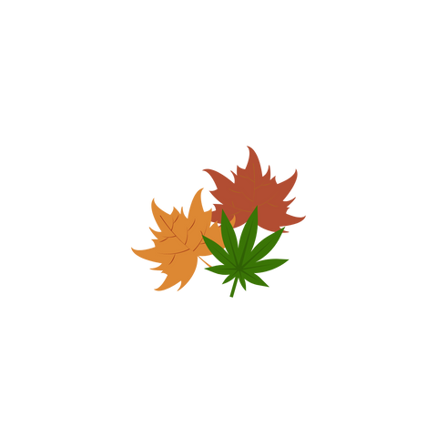 cannabis and fall leaves