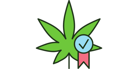 Medical cannabis in oklahoma