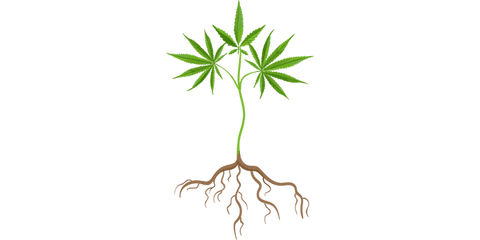 hemp for agriculture