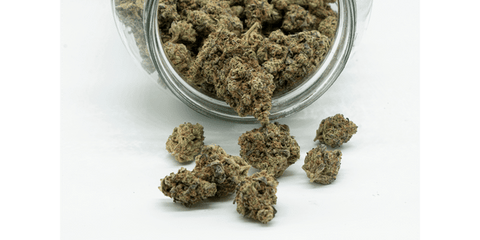 cannabis flower versus cannabis oil