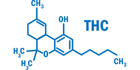 what is thc?