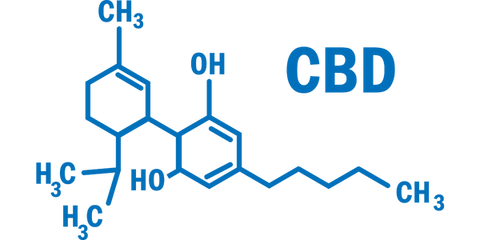 what is cbd