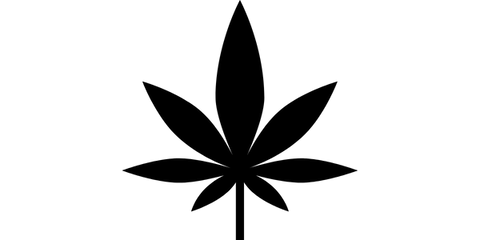 heat not burn for cannabis plants 