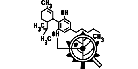 how does cbd work