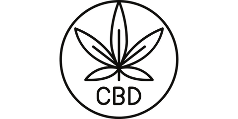 different types of cbd products