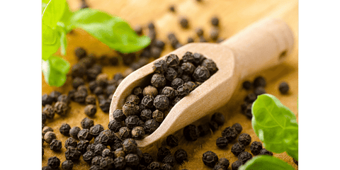 black pepper contains terpenes