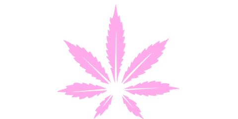 can you use cannabis when you have breast cancer?