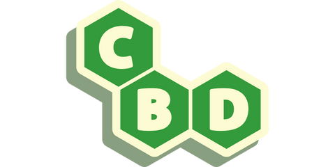 CBD et équipes sportives 