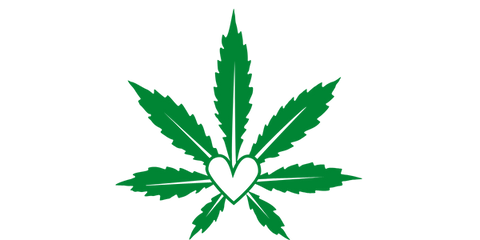 What’s The Difference Between CBD and CBG?