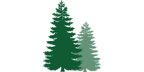 Benefits of the terpene pinene