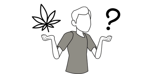 cannabis slang terms