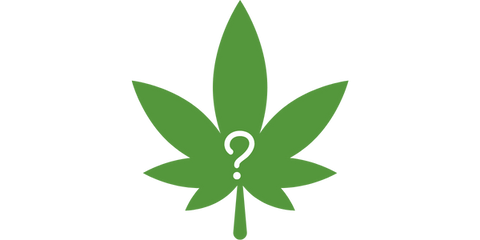 In che modo il CBD ti influisce VS THC?