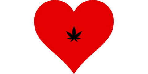 Can cannabis help the heart?