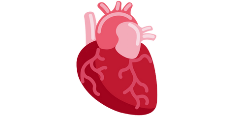How cannabis can help with heart disease