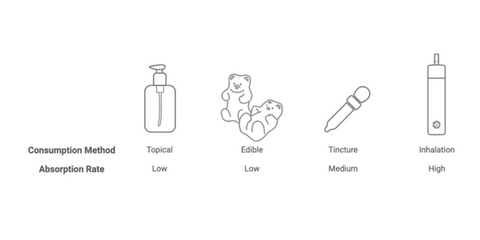 Smoking CBD VS Edibles And Other Methods