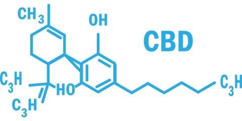 what is cbd?