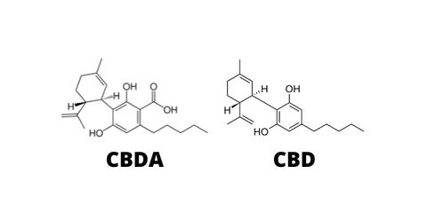 CBDA vs CBD molecule