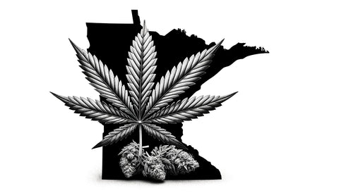 minnesota allows the combustion of cannabis