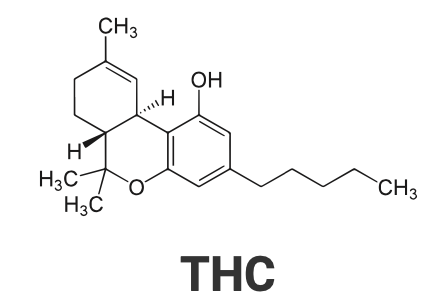 thc molecule cannabis