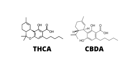 THCA molecule and CBDA molecule