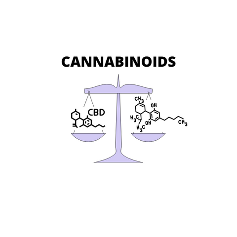 Deux cannabinoïdes principaux: CBD et THC