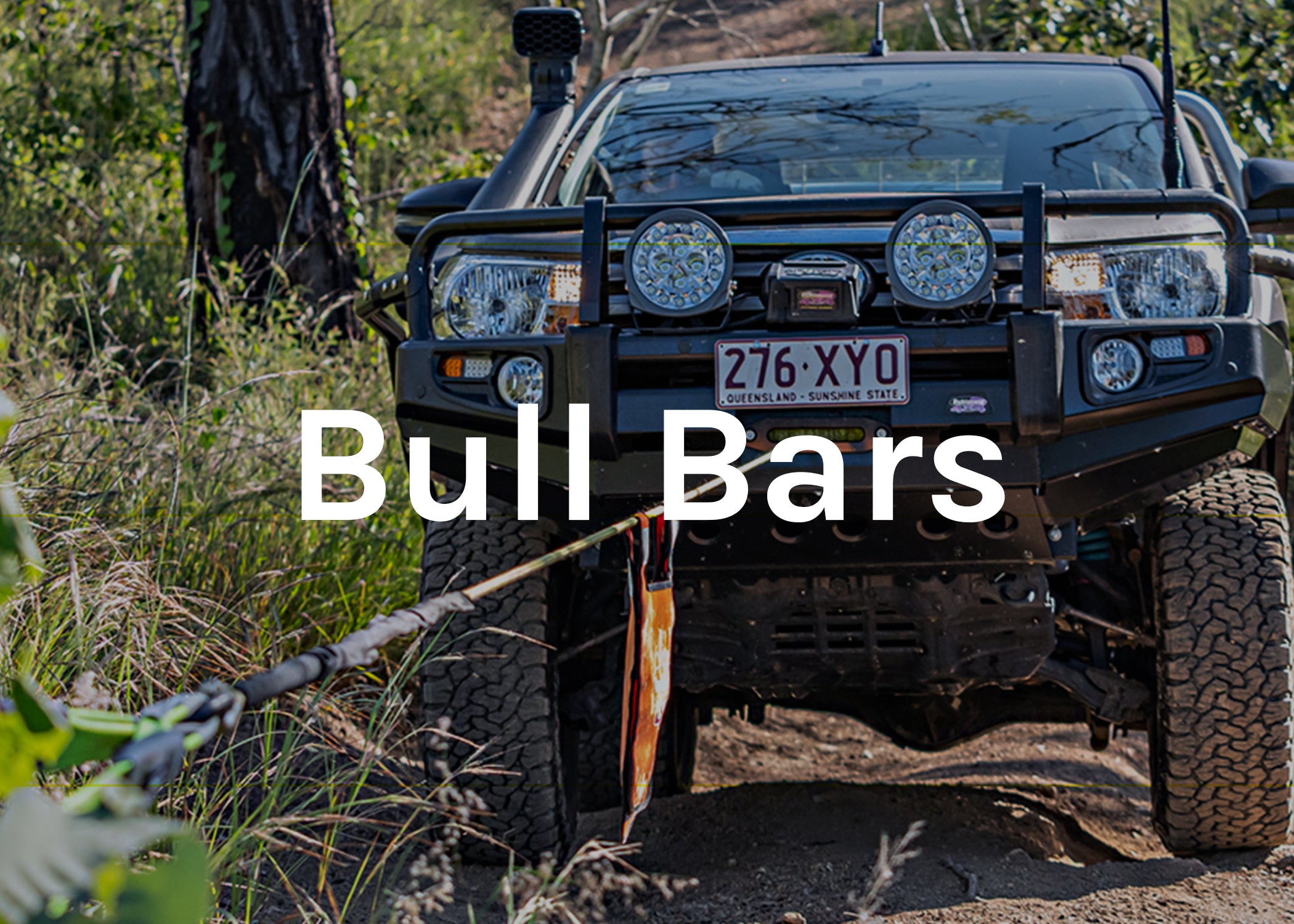 bullbars