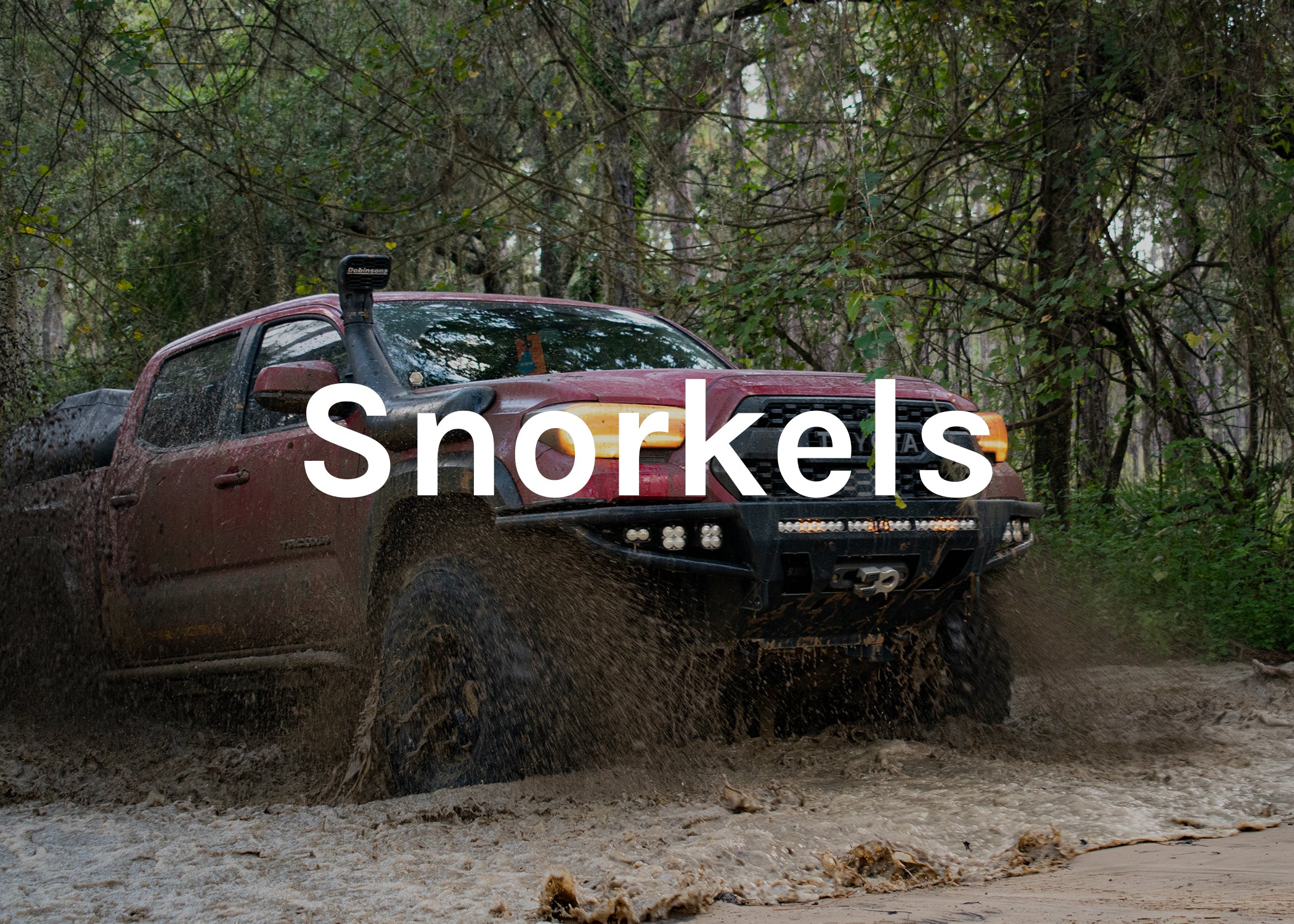 snorkel